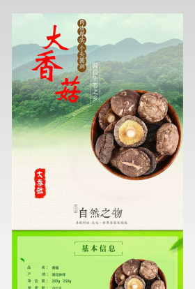 淘宝天猫健康干货大香菇详情psd模板