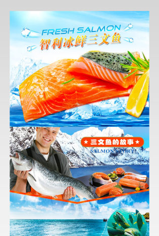 智利三文鱼详情PSD原文件