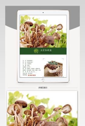 淘宝干货茶叶菇详情页PSD模板分层