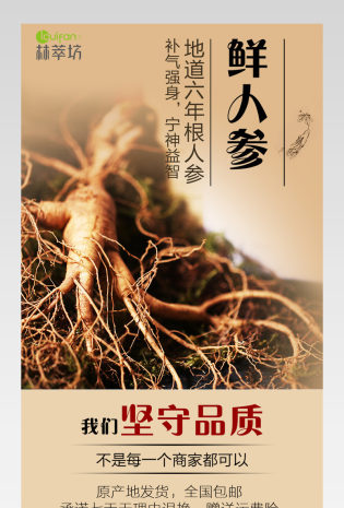 人参详情页分层产品描述页通用 
