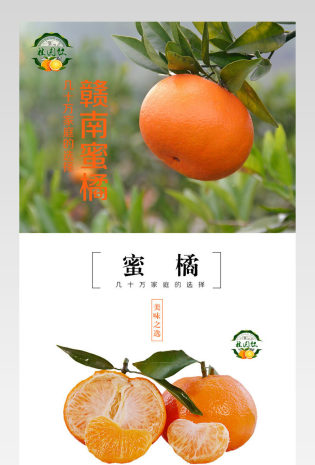 生鲜水果赣南蜜橘详情页PSD模板