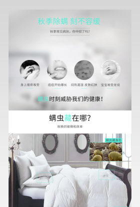清新简约风除螨仪详情页PSD模版