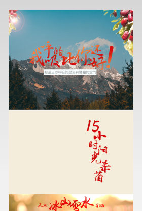 清新简约风红枣零食详情页PSD模版