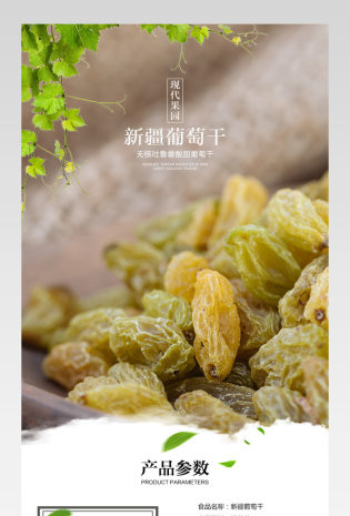 食品葡萄干详情页产品描述页通用