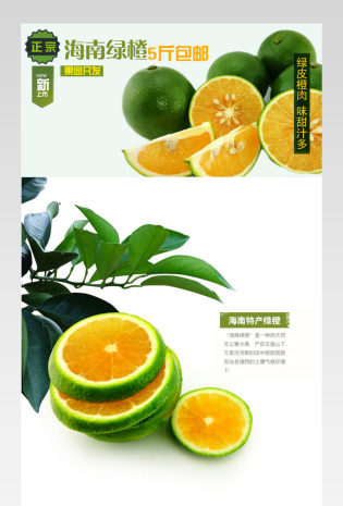 鲜果绿橙详情页产品描述页通用   