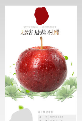 生鲜水果大苹果详情产品描述页通用 