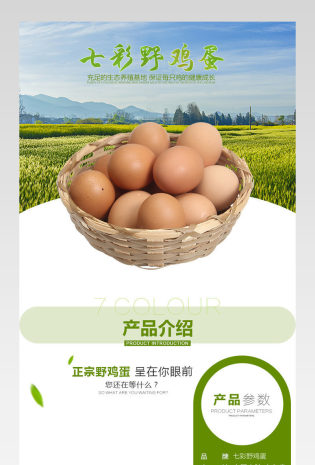 生鲜水果野鸡蛋绿色详情页PSD模板
