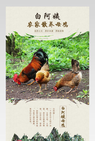 鸡蛋详情页