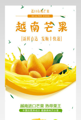 清新越南芒果详情页产品描述页 
