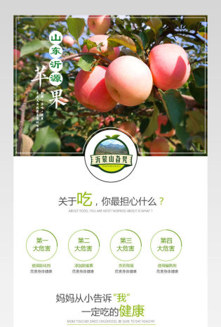 天猫淘宝生鲜水果苹果详情页PSD模板
