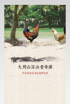 生鲜水果农家老母鸡详情页产品描述页 