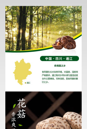 简约风花菇香菇南北干货详情页   