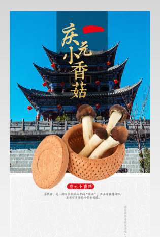 中国风小香菇干货详情页产品描述页通用 