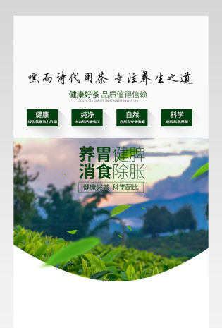 清新风茶叶养生详情页psd模板