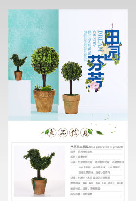 家装盆景装饰详情页产品描述页通用