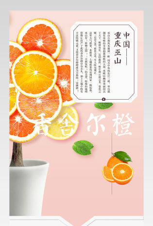 香舍尔橙子详情页素材产品描述页通用 