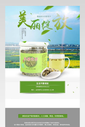 清新风胎菊米详情页产品描述页通用 
