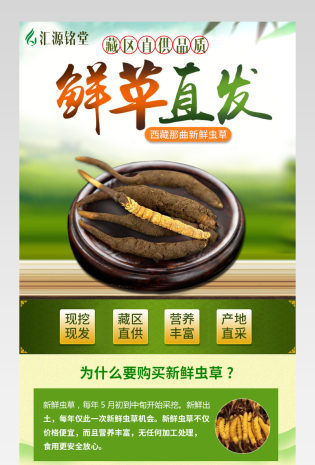 清新简约风虫草花详情页产品描述页通用