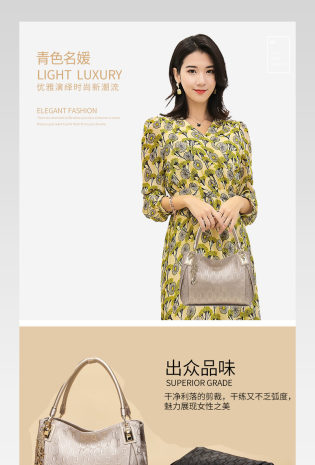 轻奢女包欧美时尚名媛手提挎包详情页 