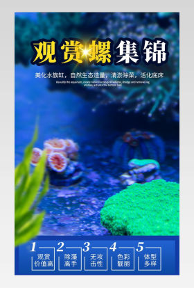 观赏螺宠物螺详情详情页蓝色详情深蓝色