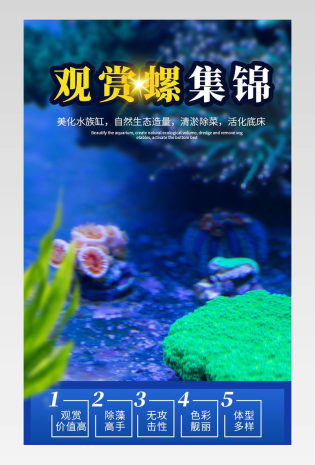 观赏螺宠物螺详情详情页蓝色详情深蓝色