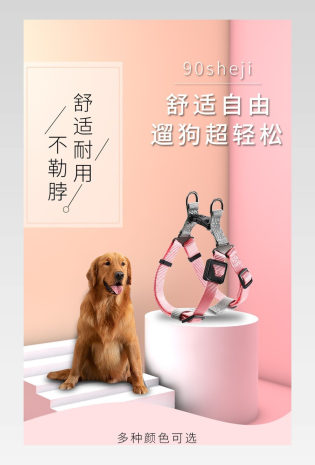 简约大气宠物牵引工具狗狗胸背带牵引详情页