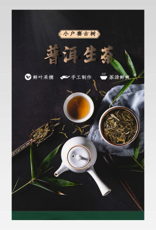 现代简约轻奢风茶叶普洱生茶详情页
