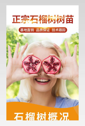 石榴树石榴苗详情页种植果树详情