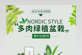 简约北欧风多肉绿植盆栽通用详情描述页