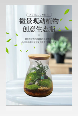 大气简约微景观植物创意盆栽苔藓植物盆景diy迷你盆栽绿植微景观摆件详情页