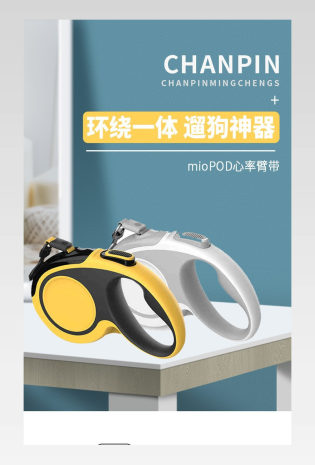 大气简约狗狗牵引绳自动伸缩金毛中型大型犬遛狗绳子宠物狗链详情页
