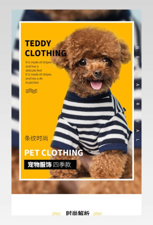 时尚可爱风日常通用猫狗用品宠物服饰详情页