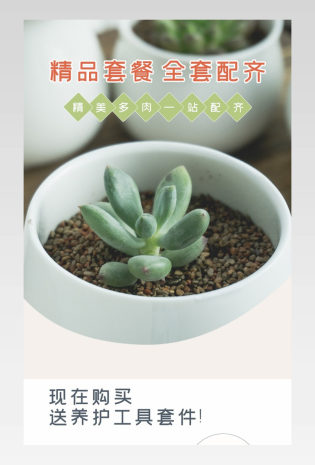 绿色自然简约小清新风格多肉植物详情页