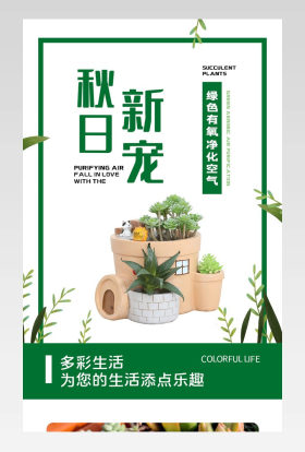 简约小清新鲜花园艺多肉植物盆栽详情页