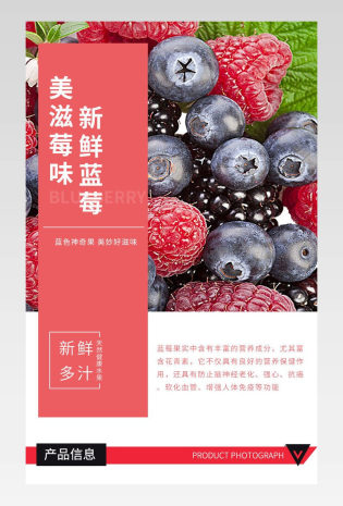 水果果干果蔬蓝莓食品详情描述页