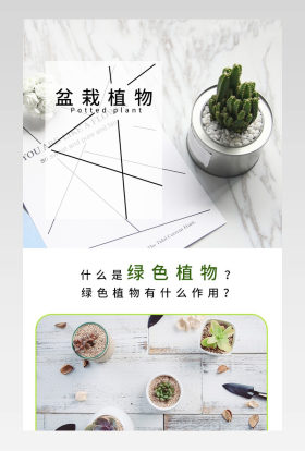 京东简约风盆栽观赏植物详情页店铺装修