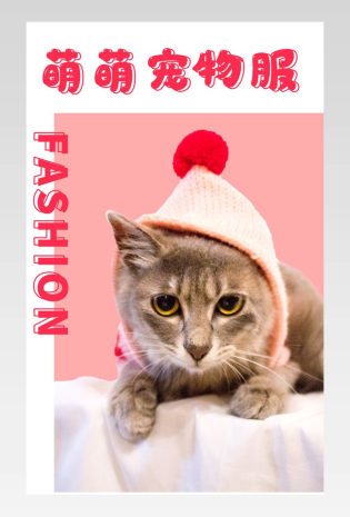萌萌宠物可爱小猫小狗萌宠服装详情页