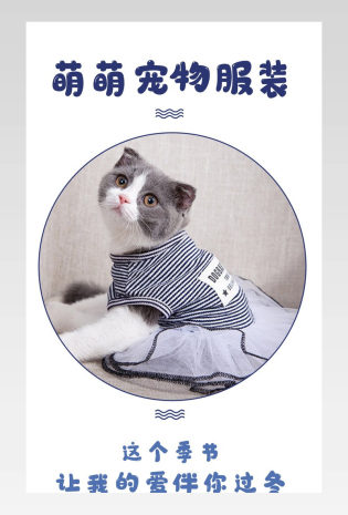 小猫小狗萌萌宠物服装宠物用品详情页