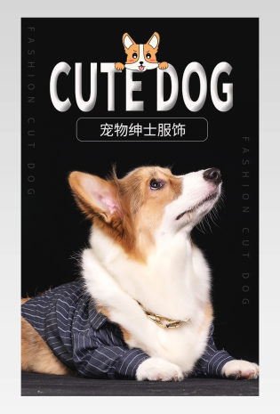 时尚简约日常通用猫狗用品宠物服饰详情页