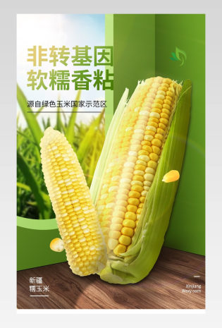 新鲜绿色果蔬鲜玉米详情页设计素材