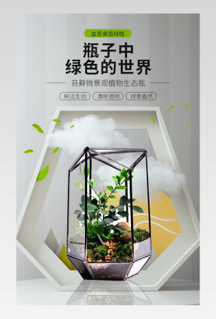 大气简约生态瓶微景观盆景盆栽diy造景小盆景桌面绿植摆件详情页