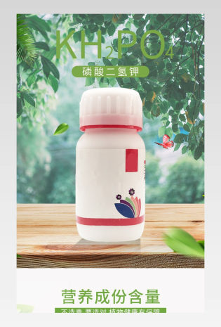 时尚简约日常通用鲜花园艺类详情页