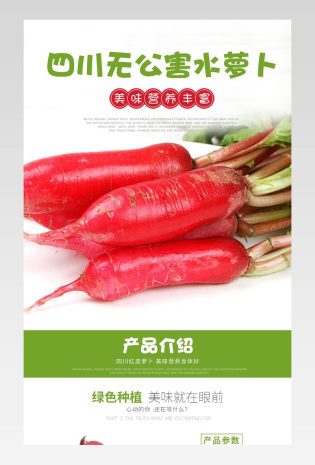 四川生鲜果蔬水果蔬菜农产品红皮水萝卜详情页