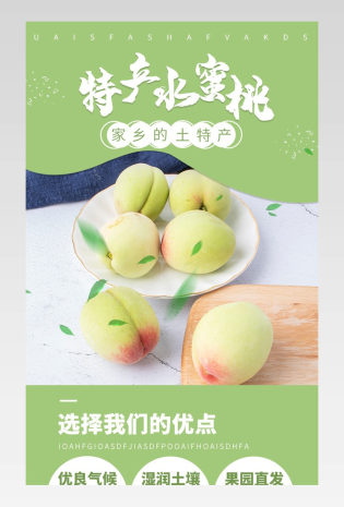 皮薄肉多家乡土特产水蜜桃详情页
