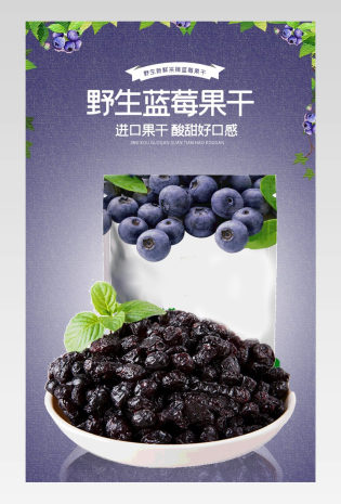 蓝莓果干食品茶饮详情描述页面介绍