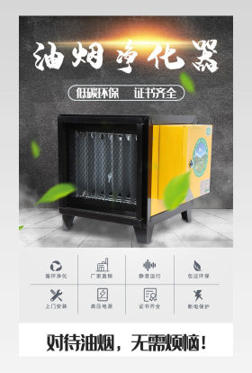 厨房排放油烟废气的处理装置详情页