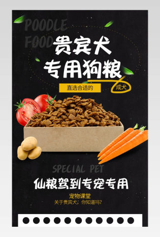 简约日常需求宠物用品狗粮详情页