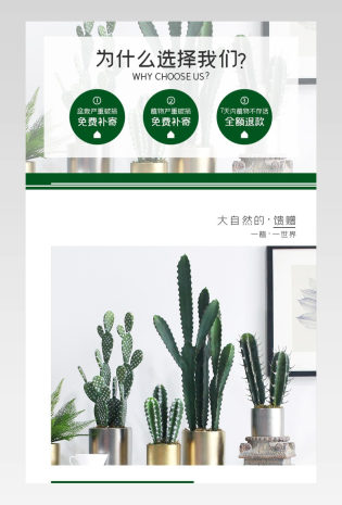 简约小清新绿色植物盆栽摆件详情页