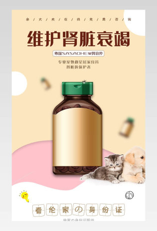 简约实时萌宠小猫小狗保健药品详情页