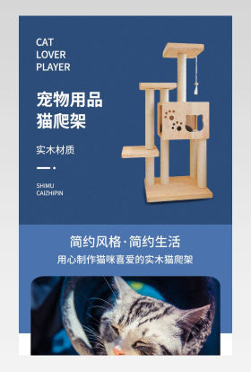 宠物详情页猫爬架详情页简约详情页
